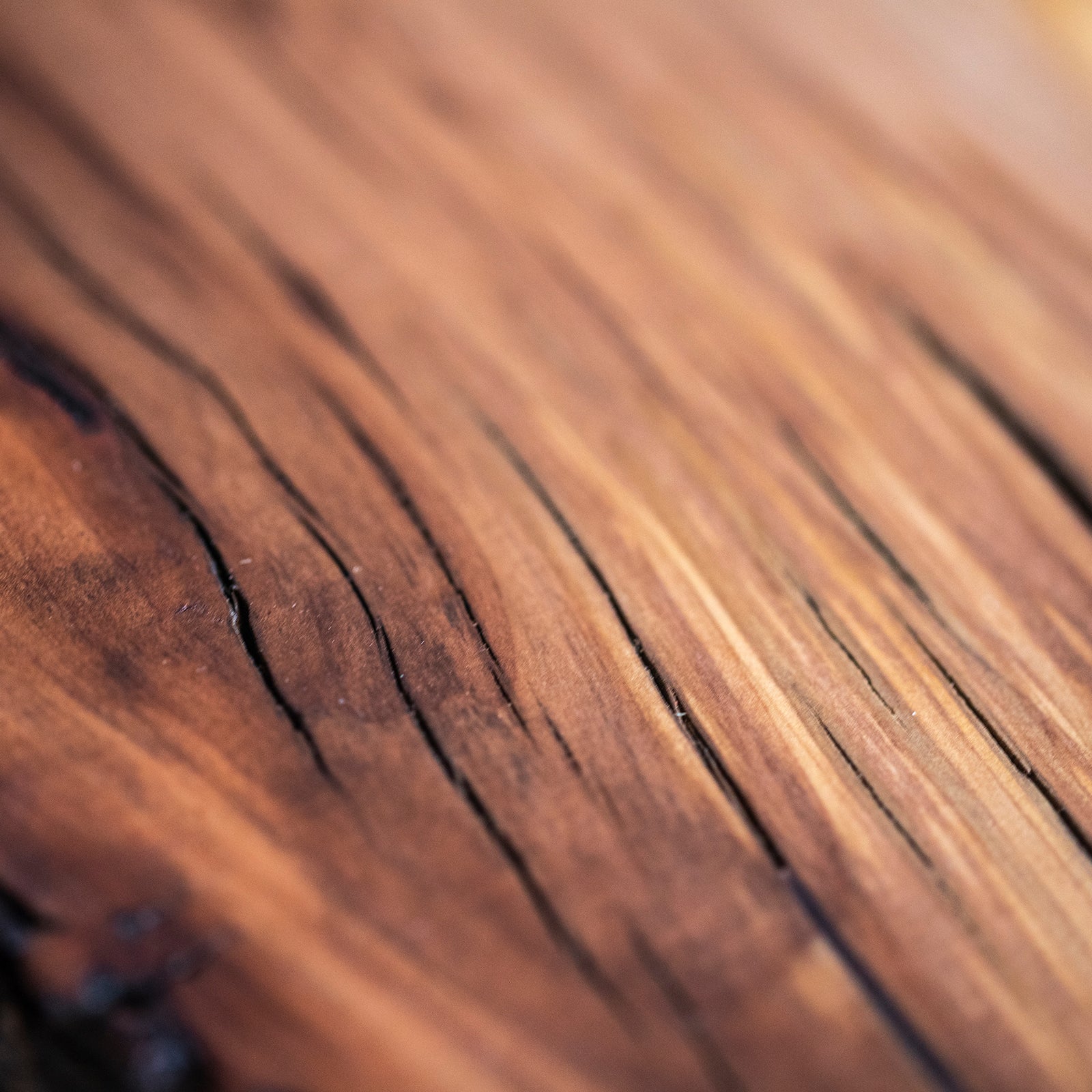 041 Torrey Pine Cutting Board